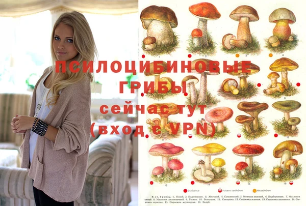 spice Ельня